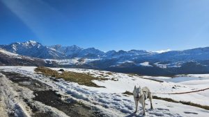 motion_photo_9087339826618679451