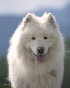 sam4
